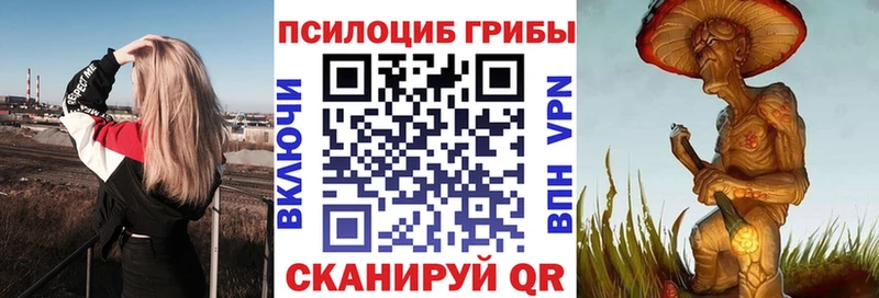 маркетплейс Telegram  Камышин  Галлюциногенные грибы MAGIC MUSHROOMS 