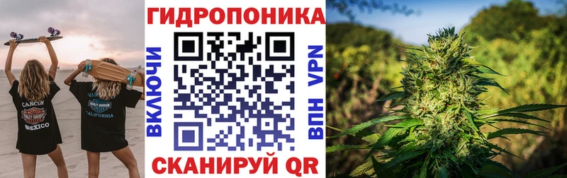 Марихуана марихуана  MEGA как зайти  Камышин 
